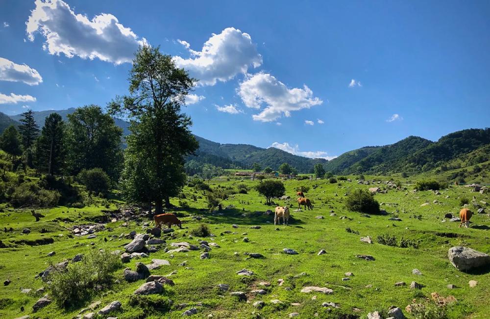 太原过年爬山去哪里比较好,五一太原打卡好去处