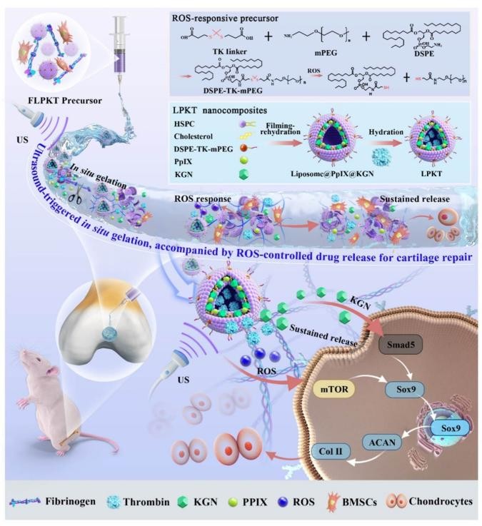 新闻SHU递｜上海大学近期要闻集锦（截止至6月19日）