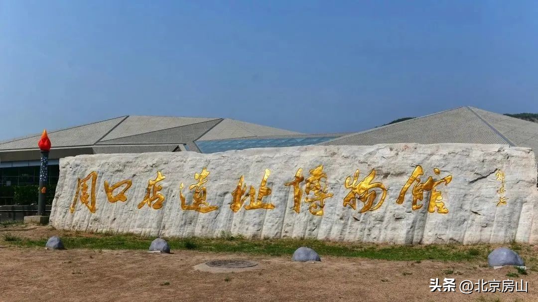 青创赛挑战杯,青创北京挑战杯是由指导老师带吗