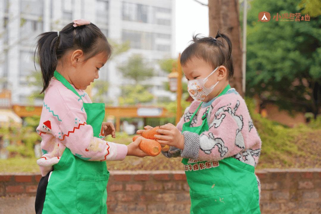 孩子上全托班的最佳年龄,幼儿刚上托班适合上什么课程