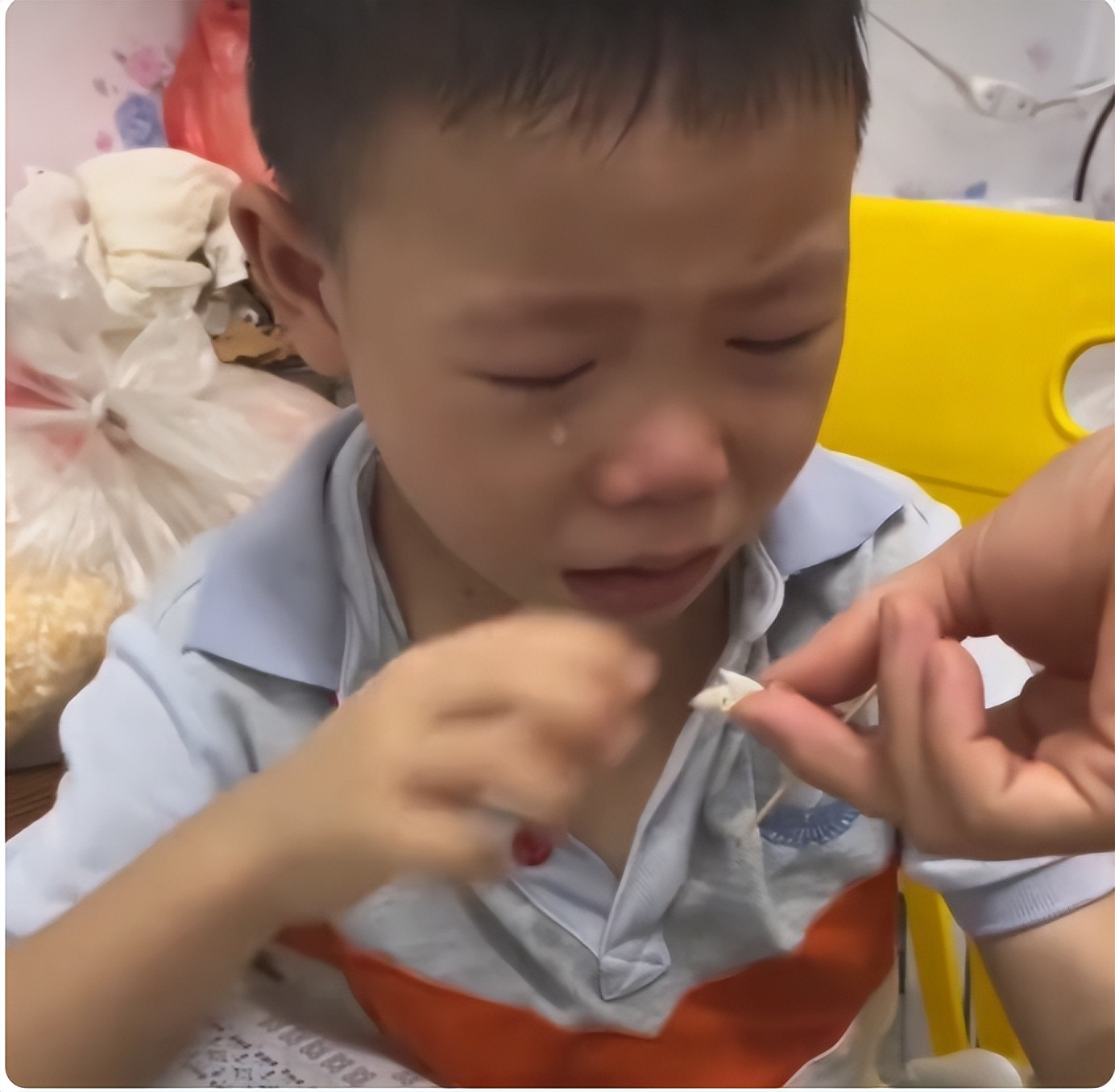 被煮熟的“宠物”,是孩子童真的丢失,家长不自知还在沾沾自喜