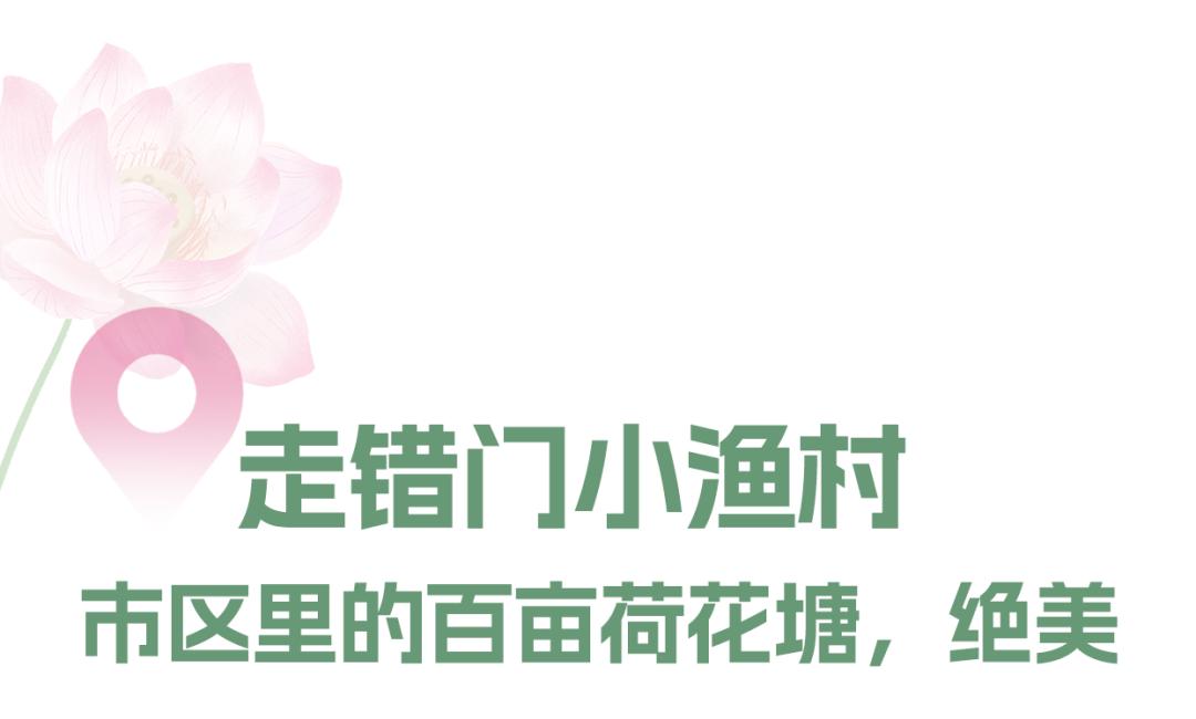 长沙赏秋去哪里,长沙第一波赏荷地图