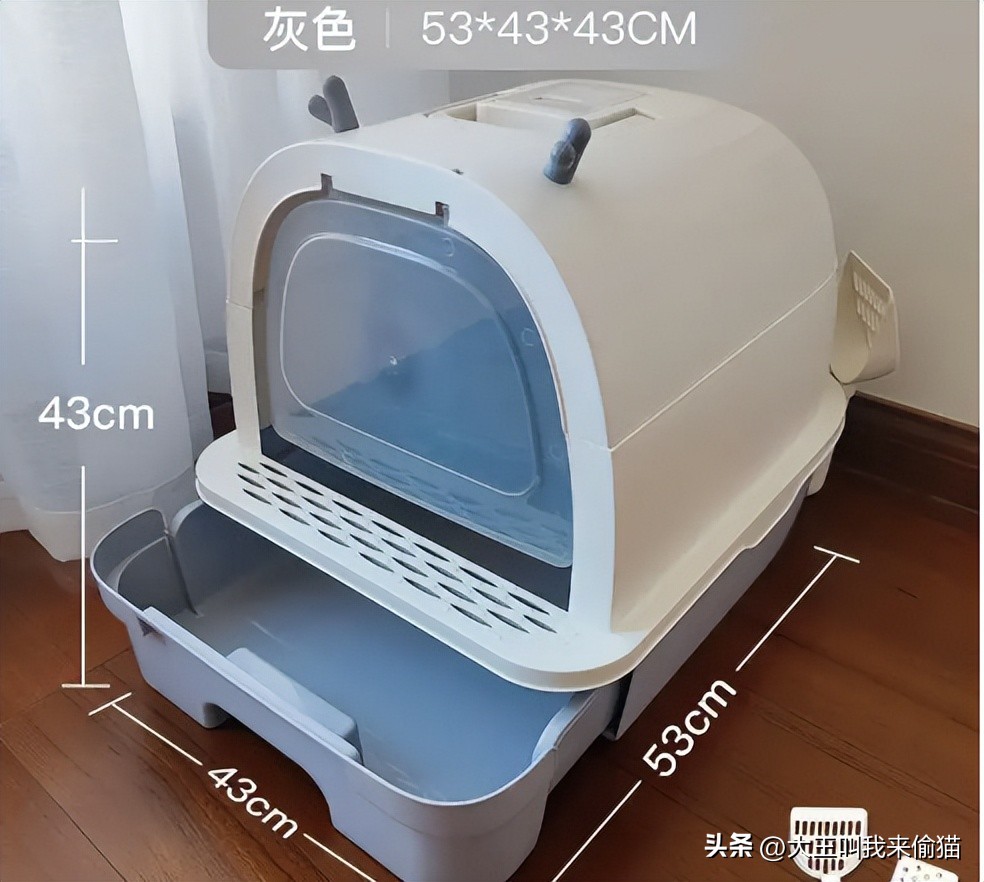 新手养猫猫砂怎么选购,新手养猫猫砂倒在哪里比较好