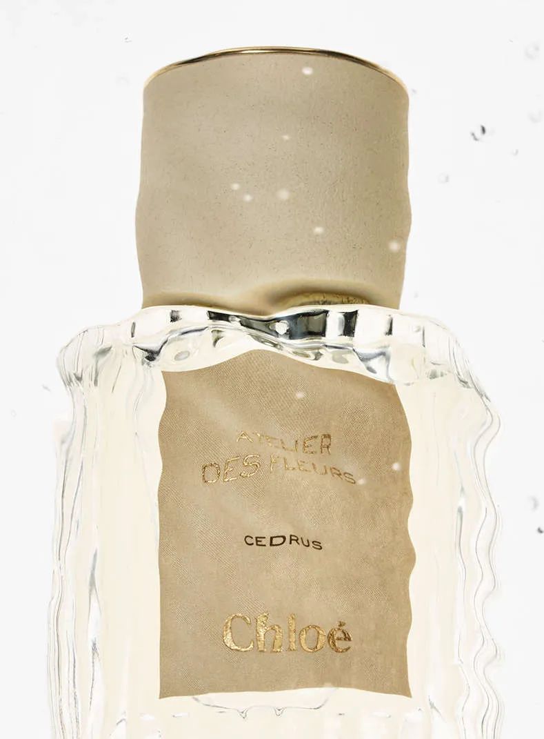 夏日专属气息｜美妆专家小*香众**氛指南