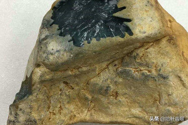 木那暴风雪和木那雪花棉一样吗,木那暴风雪与木那雪花棉