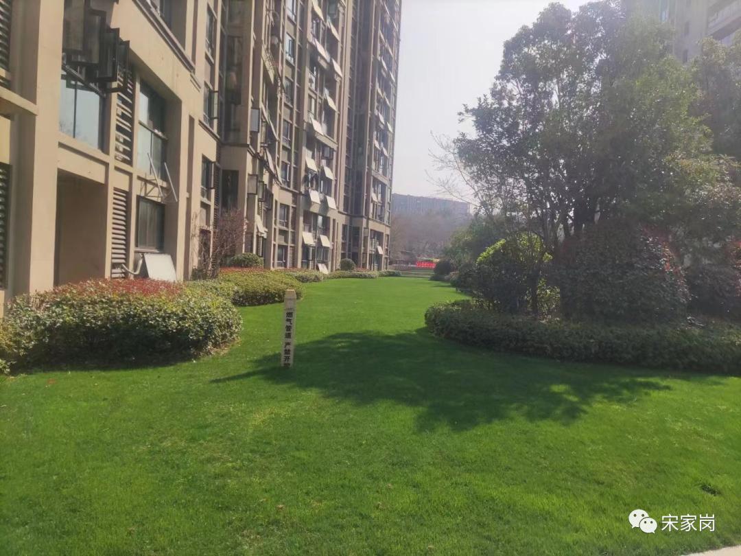 武汉盘龙城种草专业户—新力帝泊湾小区,小区品质离不开细节处理
