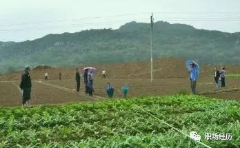 农村种地适合做什么生意,农村一年四季都能赚钱的生意