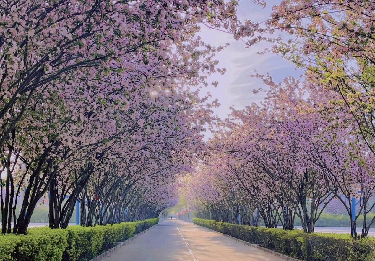 燕京理工学院传媒学院课表,燕京理工学院传媒学院活动很少吗