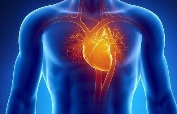 喝茶对心脏有好处还是坏处,茶叶和绿茶哪个对心脏好