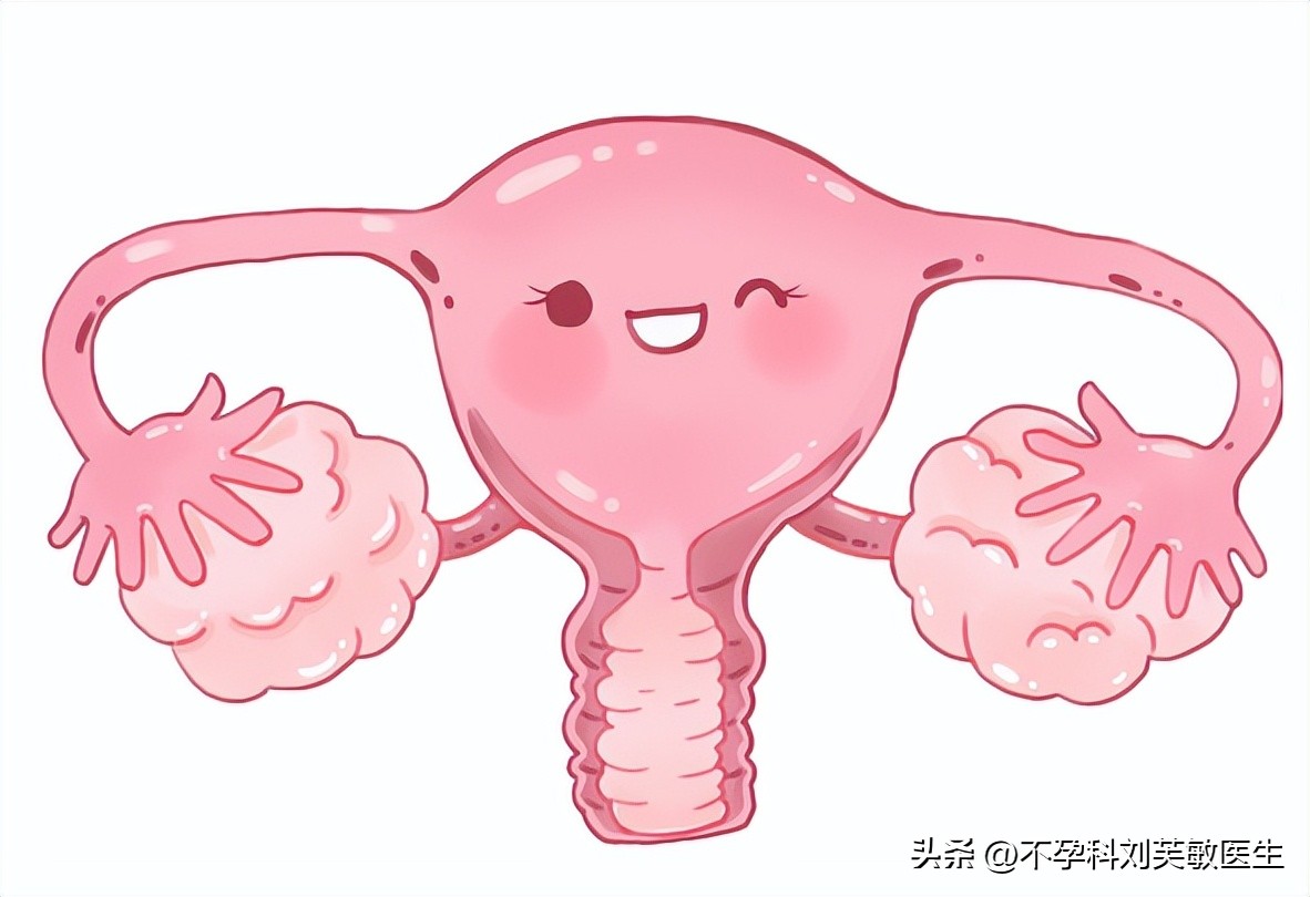 做过人流输卵管堵塞概率多大,没做过人流输卵管会堵吗