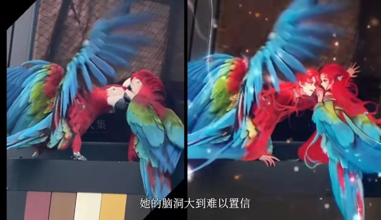 云表情慢慢变粉的表情,云表情包动图