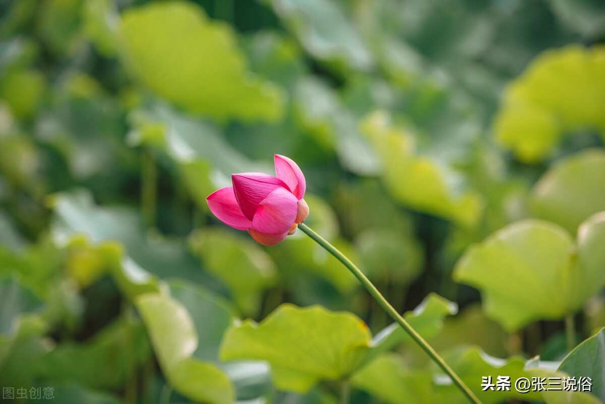 今天是归龙日：“秋分逢辰是归龙，归龙无禄又逢危”：三事不可做