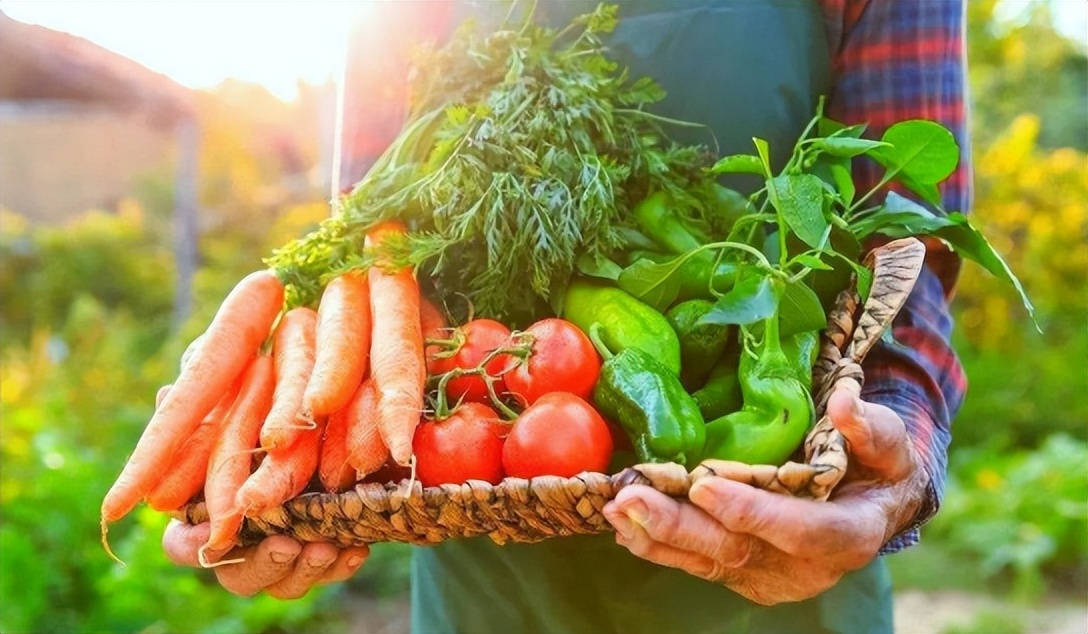 农业产业周报｜百果园、神农、叮咚买菜、中联重科、盒马最新动态