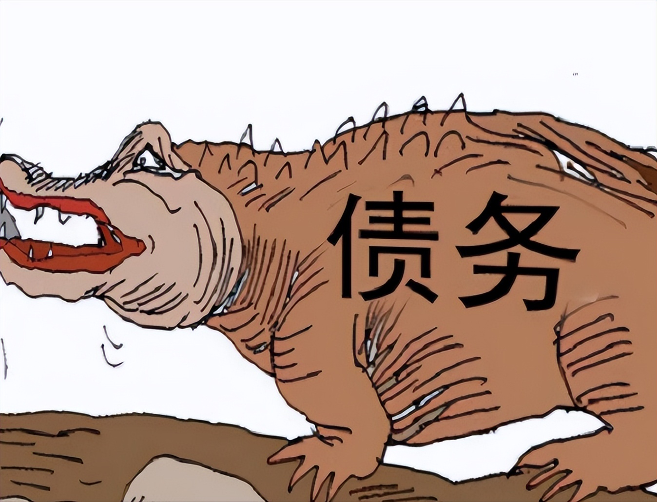 美女嫩模“靠身体”混社会,4年欠下17亿,整容跑路未遂成死囚!