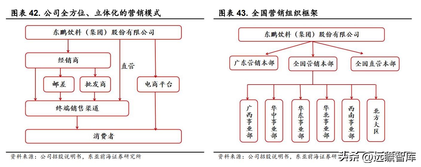 能量饮料东鹏特饮,能量水东鹏