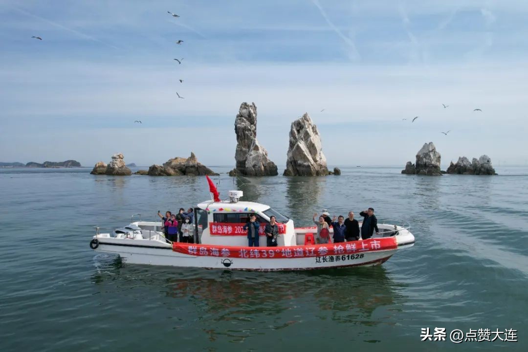 大夏天的，不来大连你去哪儿？