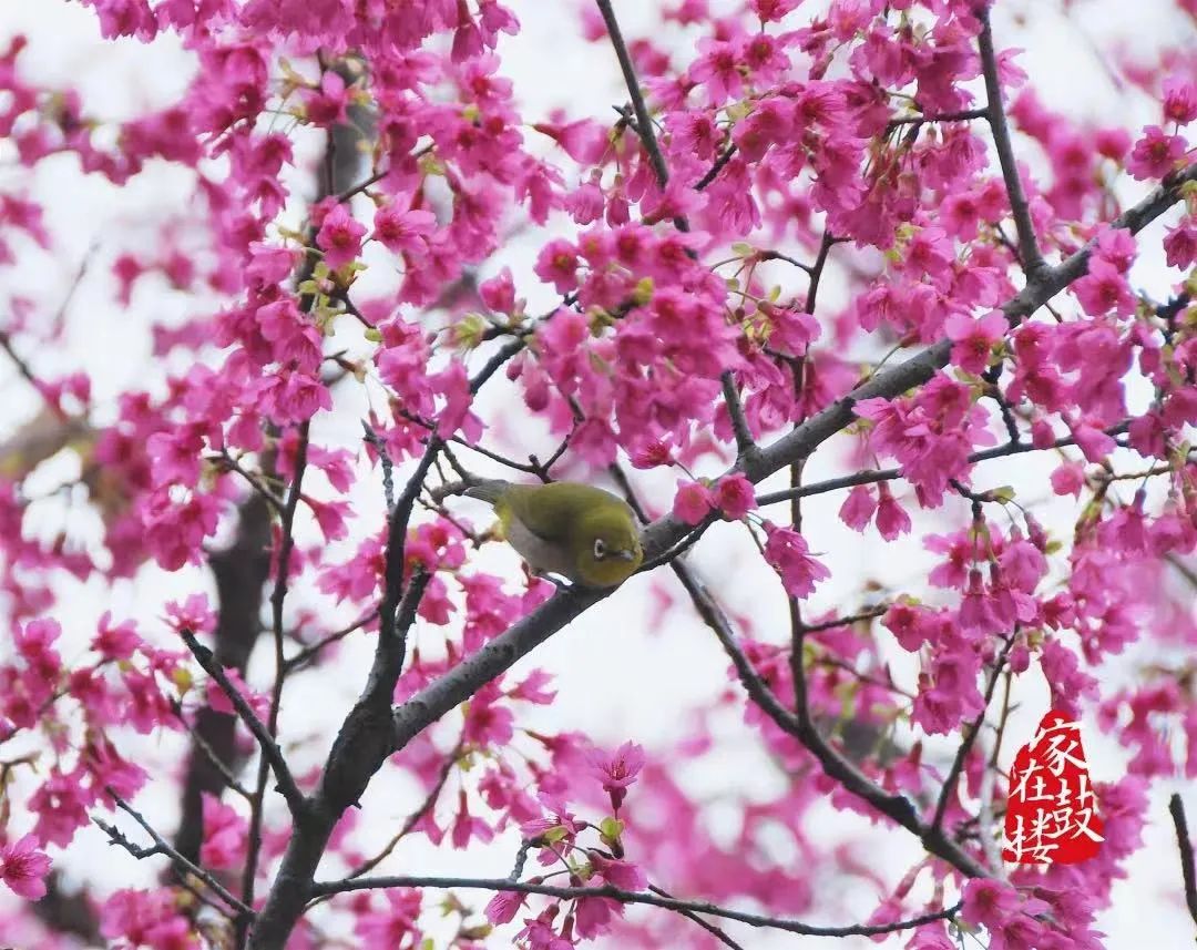 一秒穿越到最浪漫的地方,一秒穿越到风景里