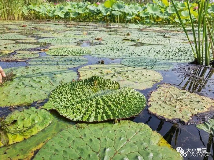 神秘的五个地方,神秘的5个地方