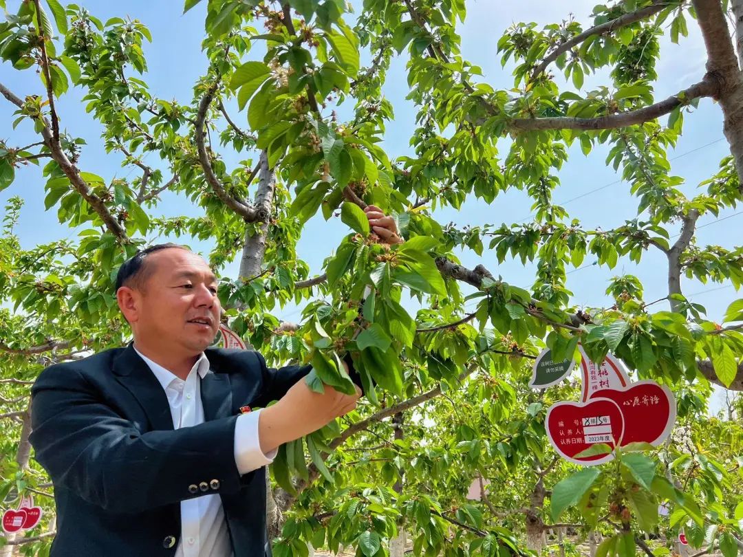 南沟村脱贫攻坚,济源市承留镇南沟村