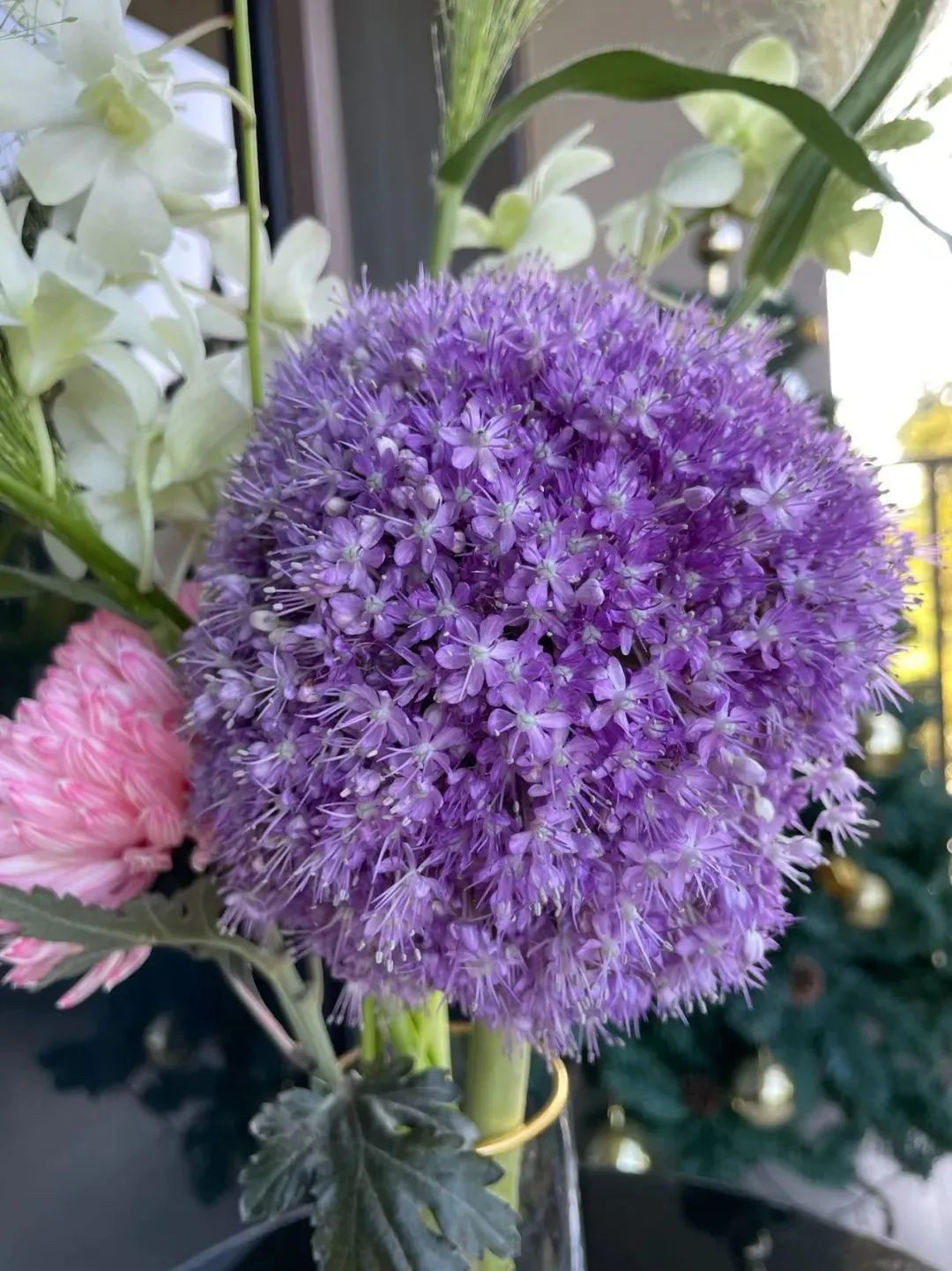 新手必看鲜花养护攻略,鲜花在水里能养几天会死