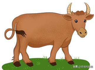 鍙ゅ線浠婃潵浜轰滑閮藉湪杩芥眰闀垮,涓栦汉鐨嗗磭鎷滅