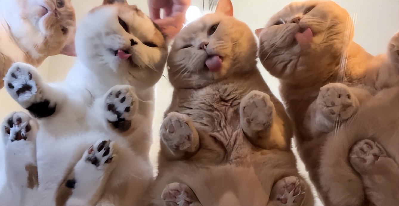 家庭用玻璃桌,家庭专用玻璃桌