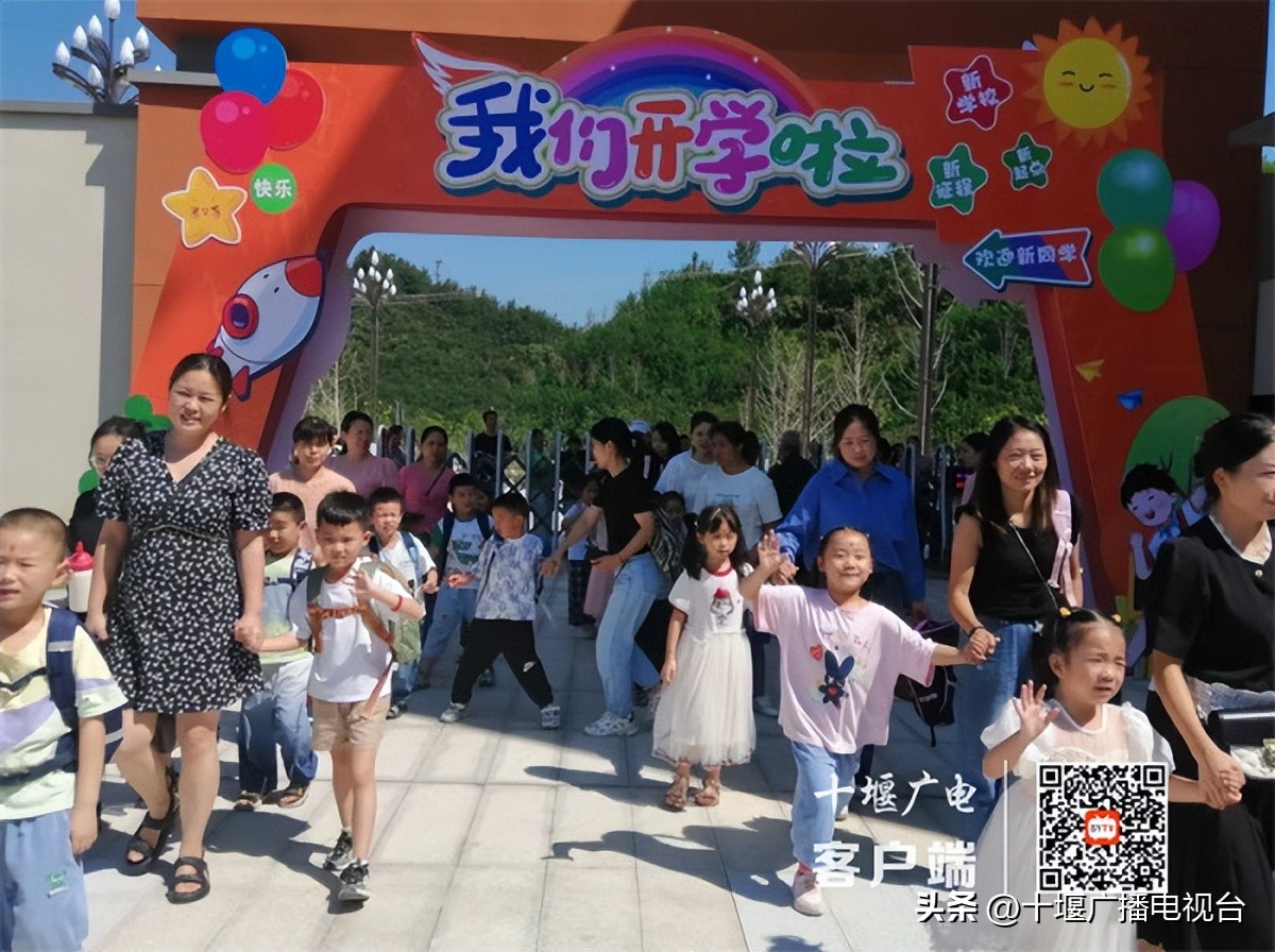 你好萌新是什么意思,你好萌新