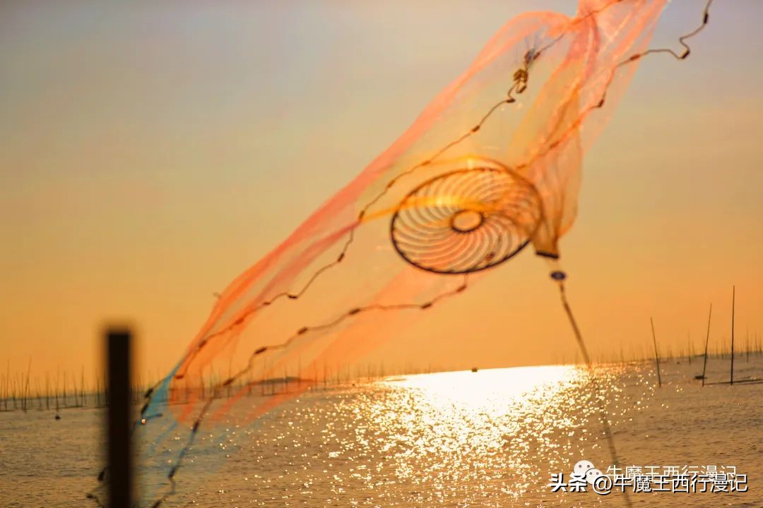 朝霞最美,最美朝霞歌曲