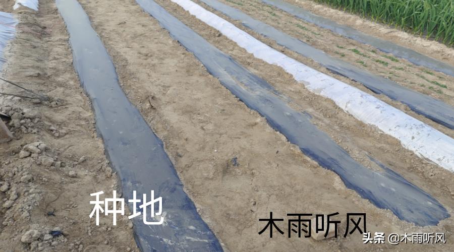 农民怎样靠土地挣钱,农村有没有什么办法可以赚钱