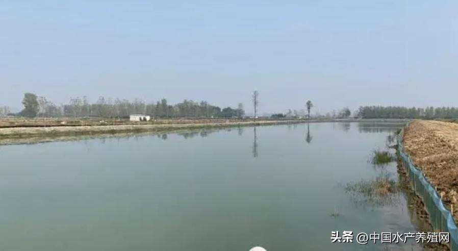 小龙虾价格暴跌的原因是什么,小龙虾价格暴跌是什么原因