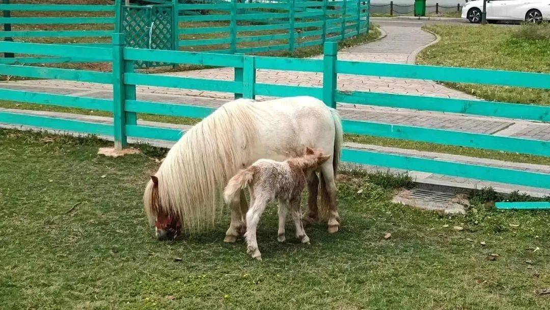 端午溧阳一日游必去景点,茅山五一旅游详细攻略