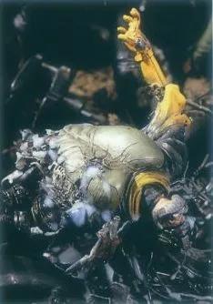 初代假面里所有的怪人,假面骑士怪人形态盘点