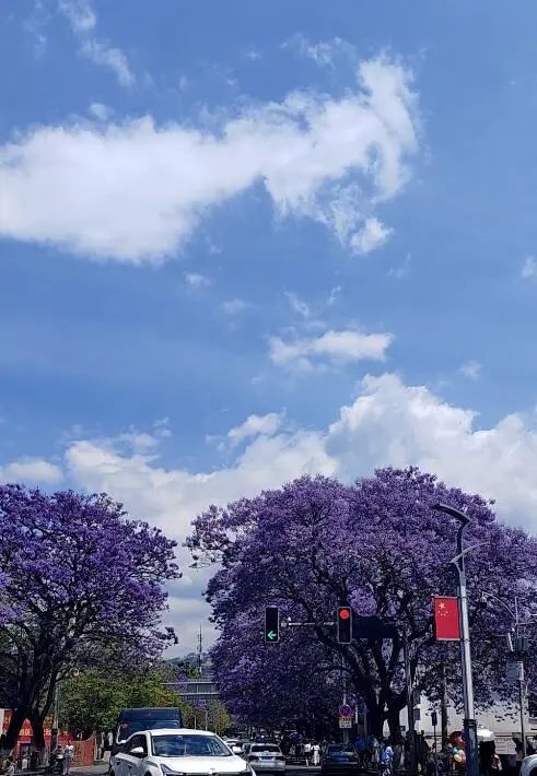 外地朋友来四川吃美食,外地朋友来四川吃苍蝇馆子