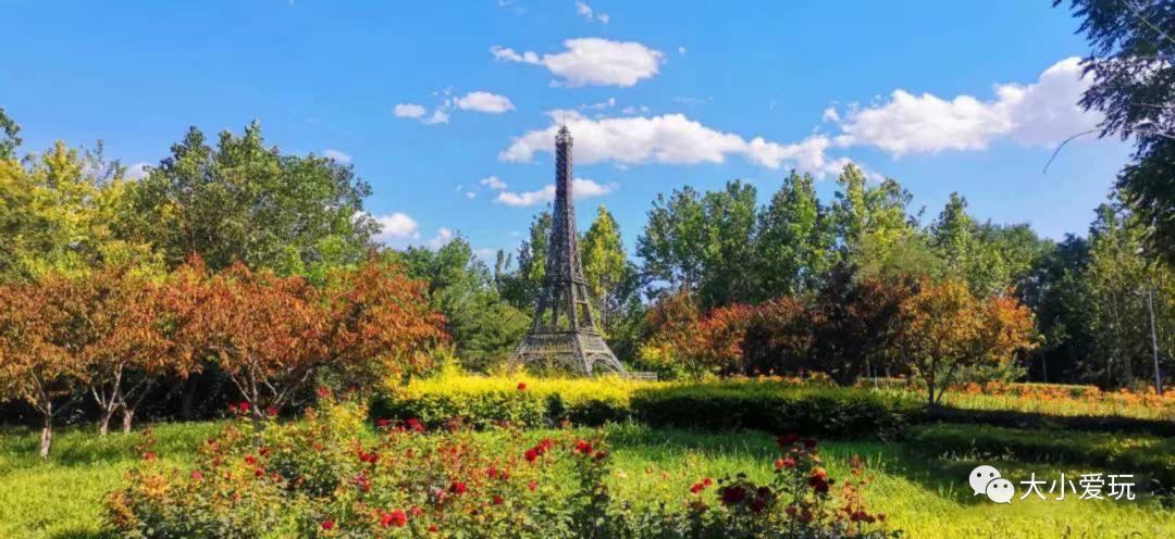 户外轮滑滑板运动场地,儿童户外运动滑板骑行