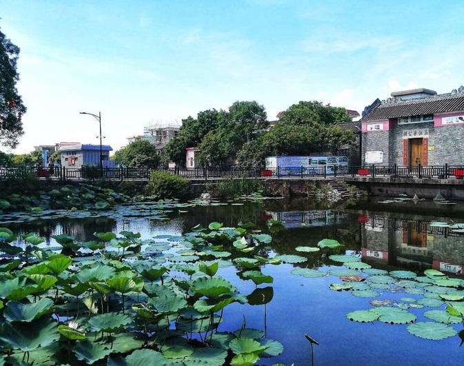广东周边海边冷门渔村,广东十大冷门自驾游