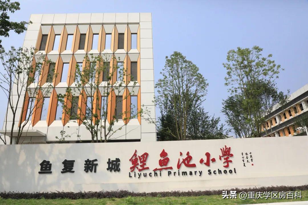 目前哪些学校已经开学了,目前全国开学的学校