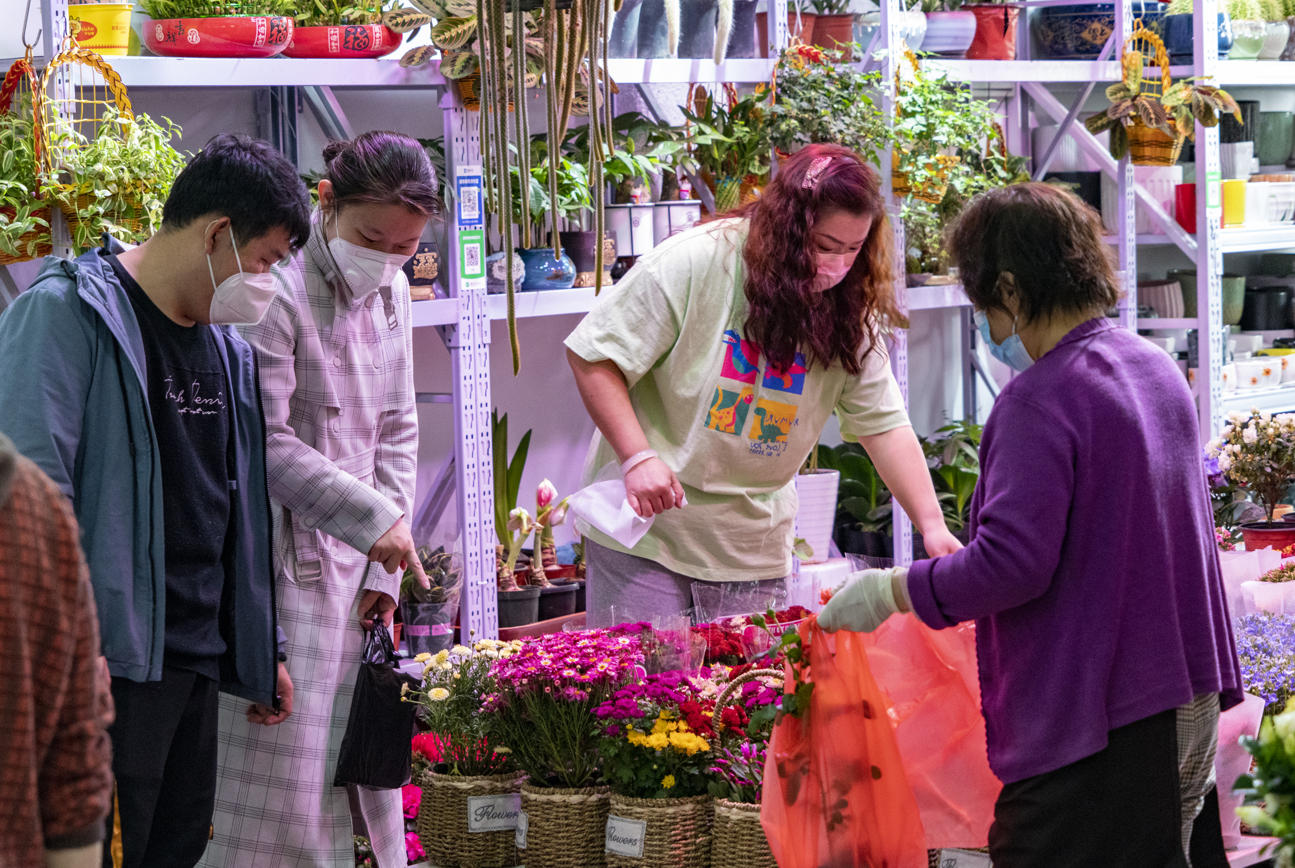 沈阳老北市场花鱼市场开业了吗,沈阳老北市场花鱼