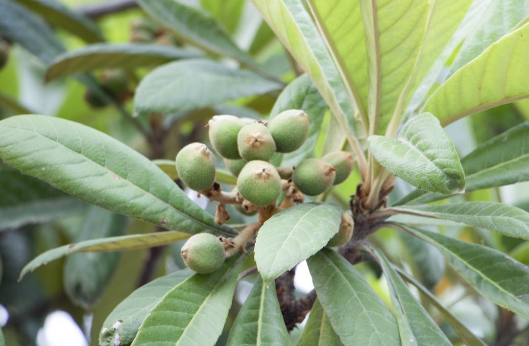 澶忓ぉ閫傚悎鍋氱殑鎵嬫寚鐢茬綉绾㈡,澶忔棩鎵嬫寚鐢叉寮忕綉绾㈡