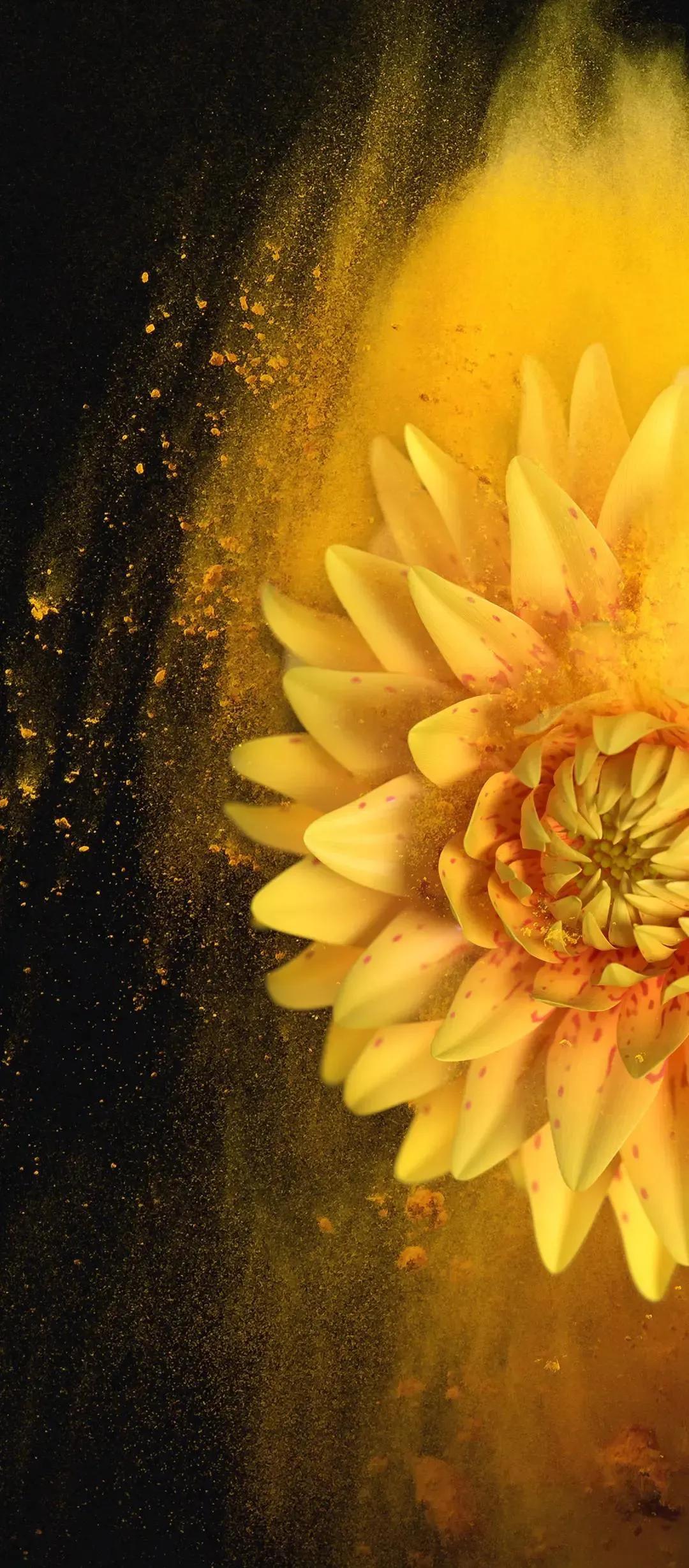 高清壁纸全面屏手机,围棋壁纸高清全面屏