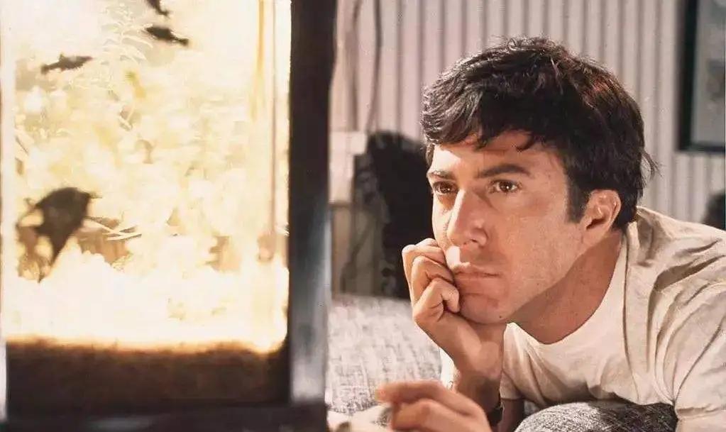 大学生感到迷茫应该看的中国电影,反映青年人成长的电影