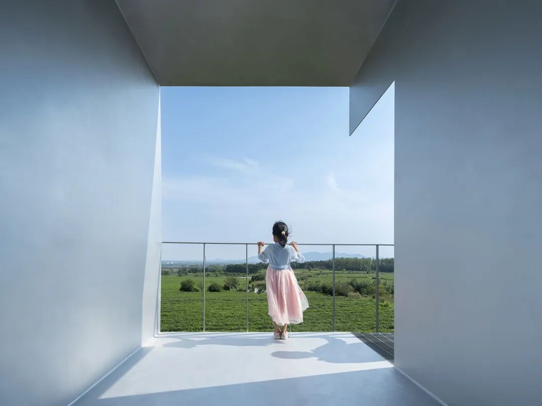 中国茶申遗成功吗,中国茶申遗成功44项名单