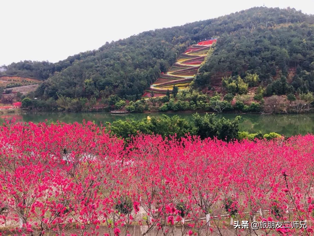梅州4日3夜旅游路线攻略,春游去哪玩梅州樱花谷