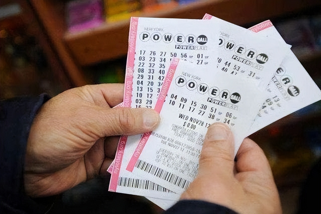 彩票店为何要贴走势图,彩票店走势图是啥意思