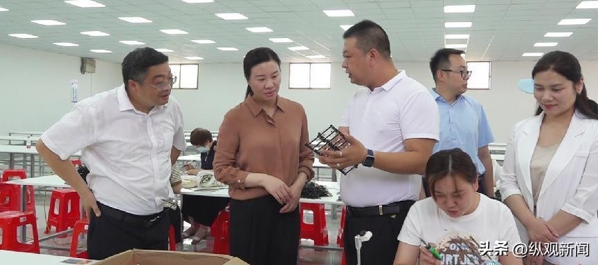 内乡已开工项目,内乡电子设备