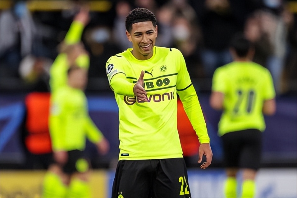 多特蒙德1亿买哈兰德,多特蒙德买入哈兰德