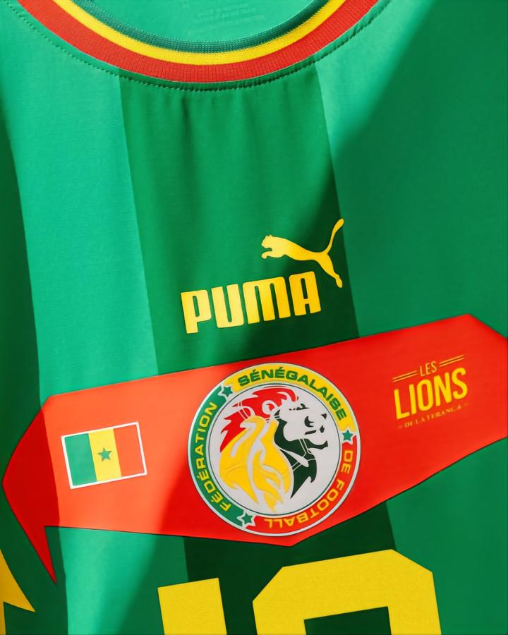 2022世界杯公认最漂亮球衣是什么,2022年世界杯32种球衣