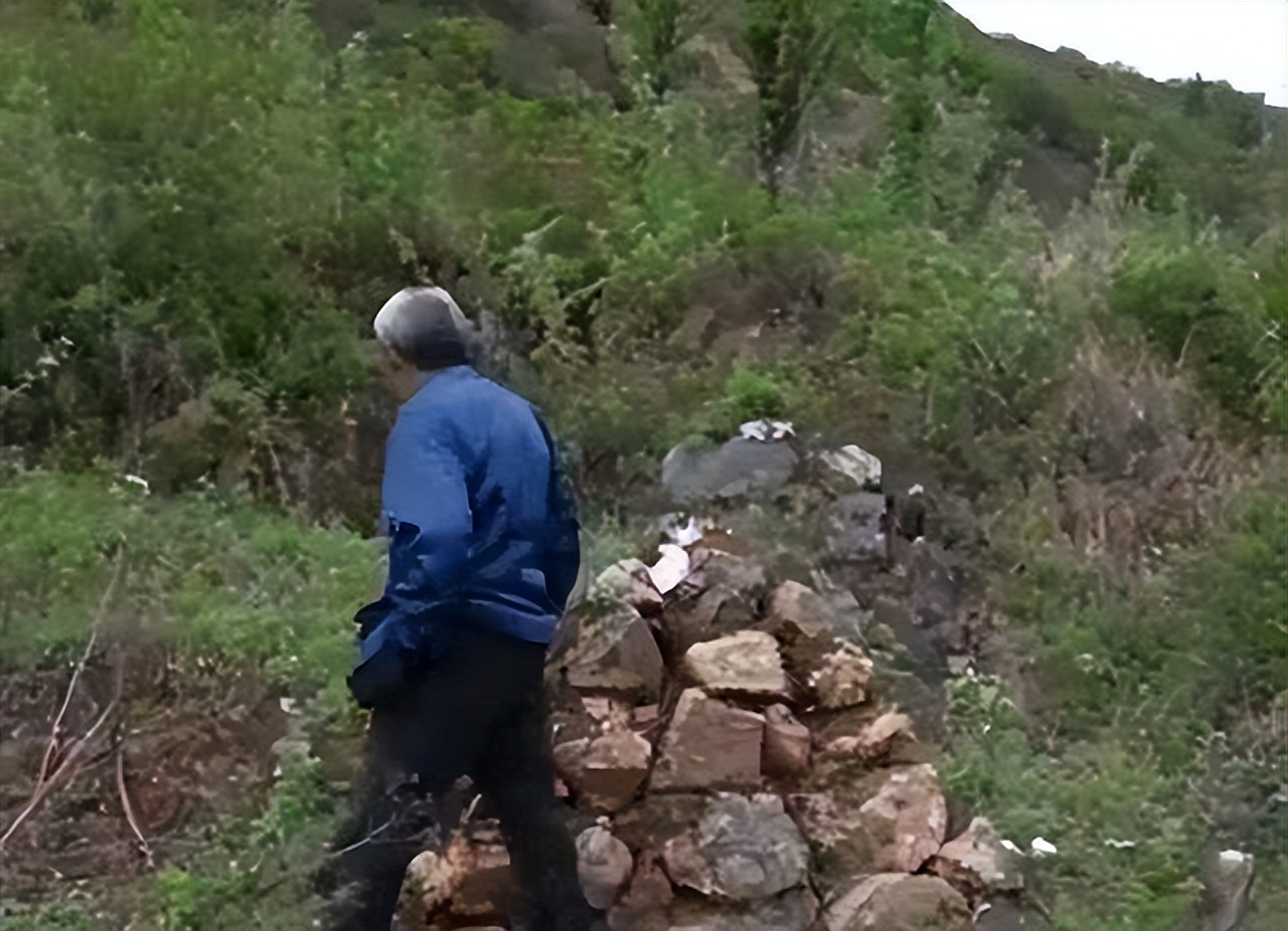 13岁少年目睹生母被打死，22年后为父亲赚够养老费，杀三人*仇报**