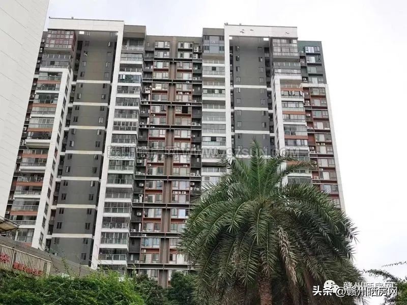 赣州房子天花板,赣州小区天花板