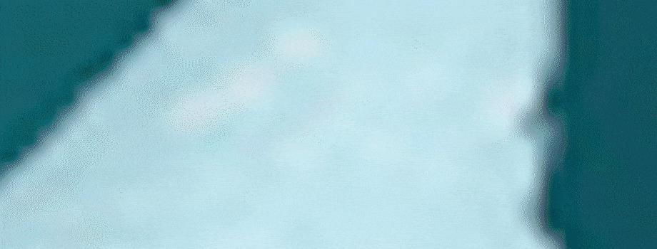 武汉高考志愿填报,武汉大学高考志愿填报技巧