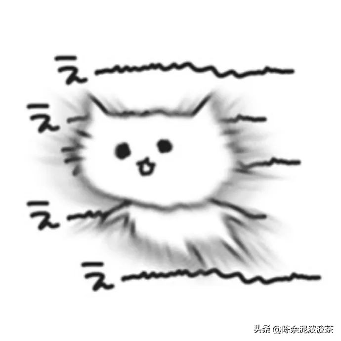 可爱的猫咪头像和小狗头像,团子头像可爱微信头像